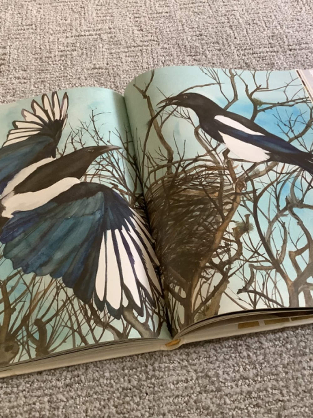 Bundle: The Lost Words Book and Puzzle - Picture 8 of 13